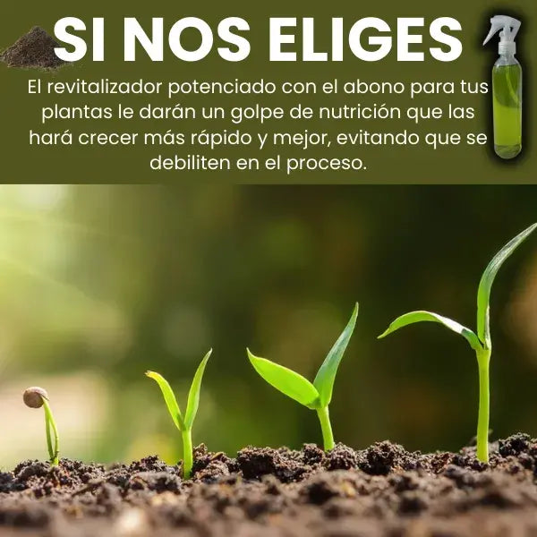 VitaPlant™️ Revitalizador de Plantas Hiperconcentrado 🌱 2 Frascos + Abono Premium