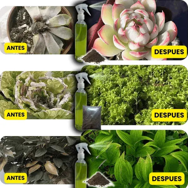 VitaPlant™️ Revitalizador de Plantas Hiperconcentrado 🌱 2 Frascos + Abono Premium