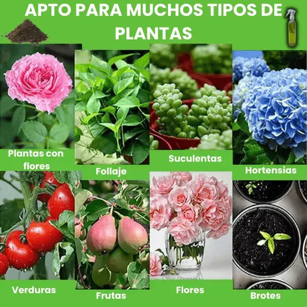 VitaPlant™️ Revitalizador de Plantas Hiperconcentrado 🌱 2 Frascos + Abono Premium