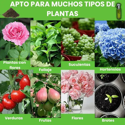VitaPlant™️ Revitalizador de Plantas Hiperconcentrado 🌱 2 Frascos + Abono Premium